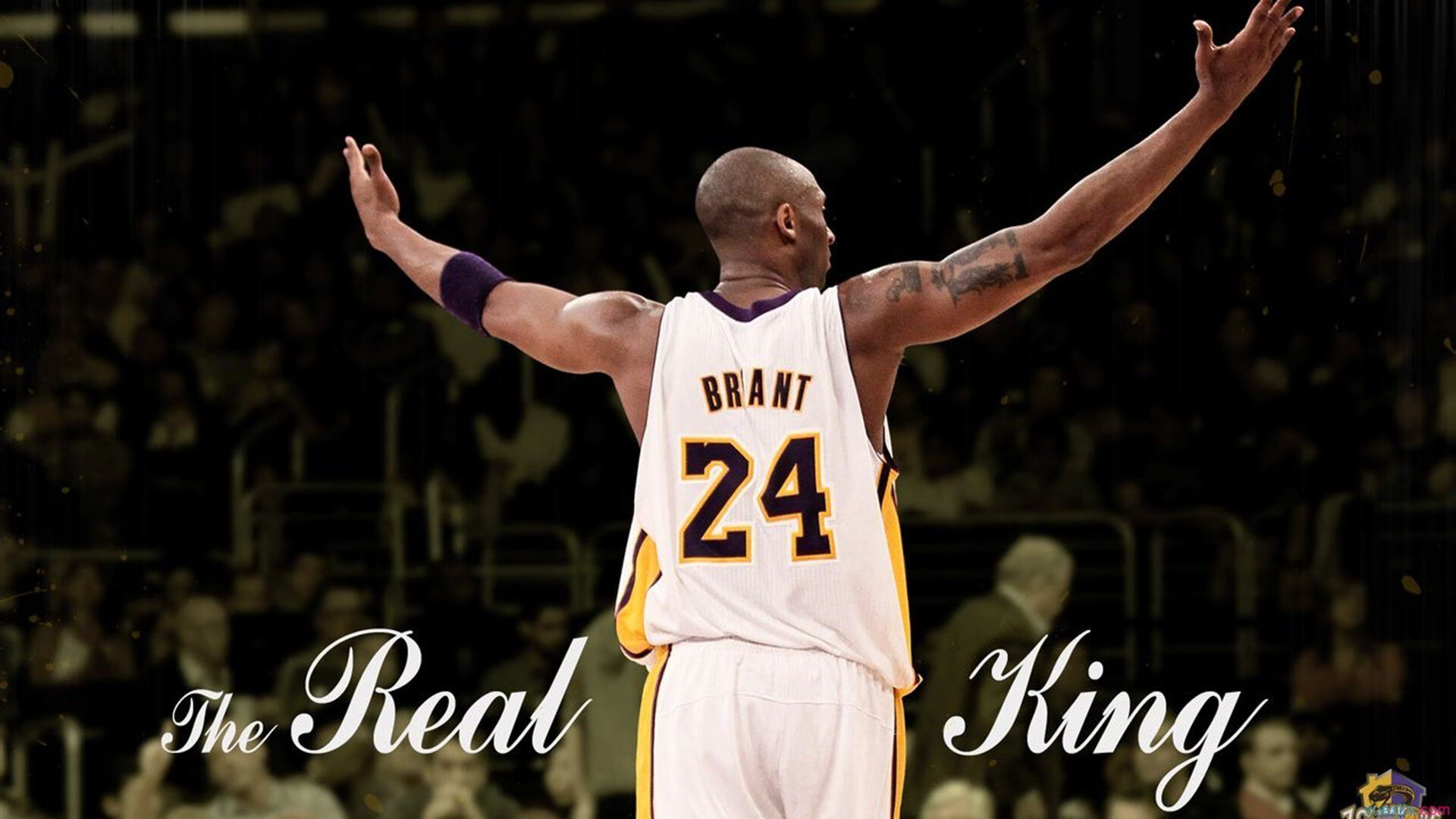 2026世界杯：场馆融合未来科技，观众体验空前提升，2026年世界杯球场